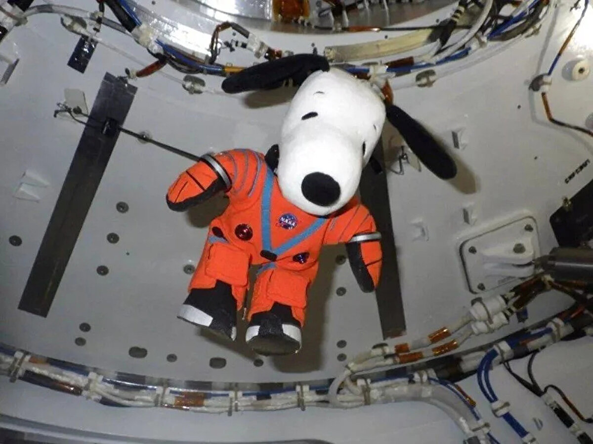 Orion şu anda, insanları taşımak için tasarlanmış herhangi bir uzay aracının şimdiye kadar seyahat ettiği en uzak mesafeye uçtu. Orion şu anda ABD’den sadece 48 saat uzakta ve yaklaşık 2 milyon kilometrelik başarılı yolculuğunu bitirmek üzere. <br><br>