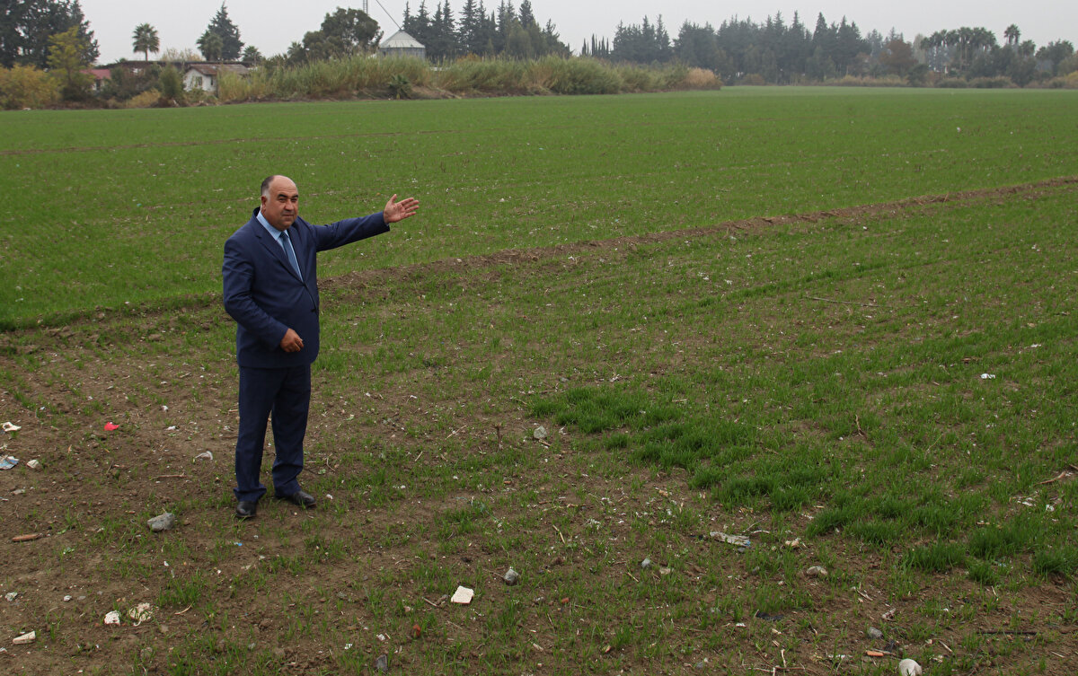 ÇEŞİT ÇEŞİT ÜRÜN YETİŞİYOR<br>Mevsimine göre tarlada yetiştirdikleri ürünlerin çeşitlilik gösterdiğini anlatan Körü, şunları söyledi:<br>"Tarlamızda sadece pamuk yetiştirmiyoruz. Biber, patlıcan, salatalık, acur, maydanoz, bamya, yeşil fasulye de yetiştiriyoruz. Bunların yanı sıra avokado, ejder meyvesi, yaban mersini ve enginar gibi çevrede ekimi çok yapılmayan türleri de deniyoruz. Böylelikle hem öğrencilerimiz uygulamalarda çeşit görmüş oluyor hem de ürünleri bölgede tanıtarak ekonomiye destek olmak istiyoruz."