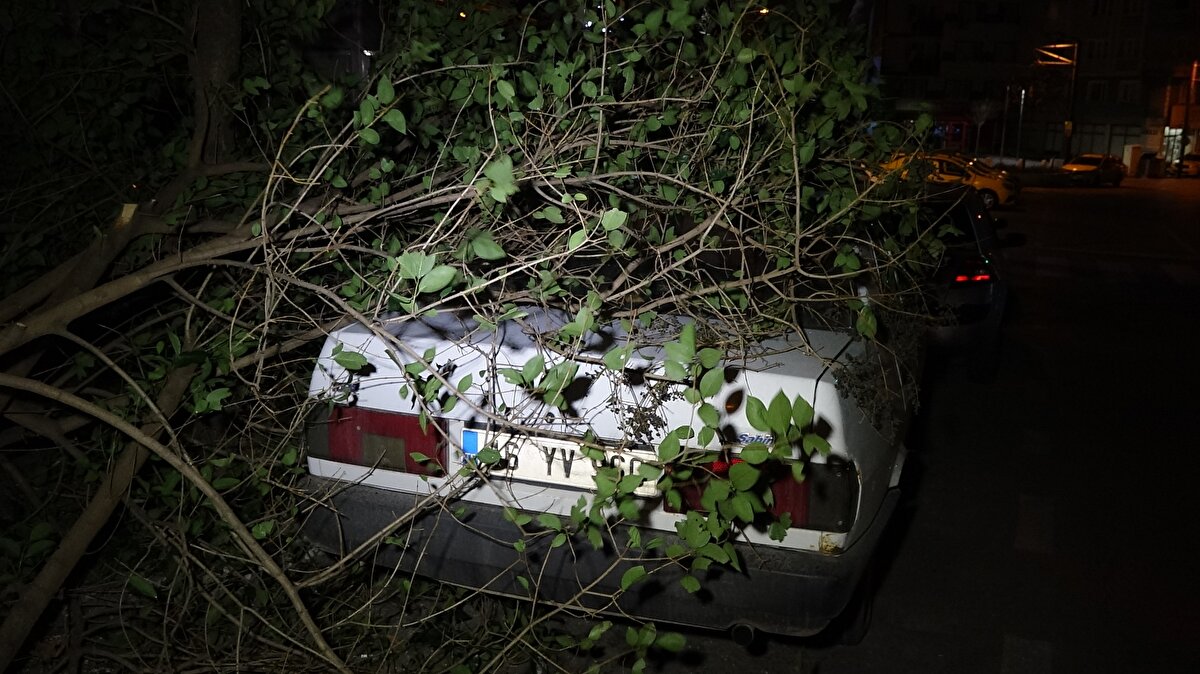 İhbar üzerine olay yerine gelen itfaiye ekipleri, kırılan ağacı keserek aracın üzerinden kaldırdı. Otomobilde maddi hasar meydana geldi.