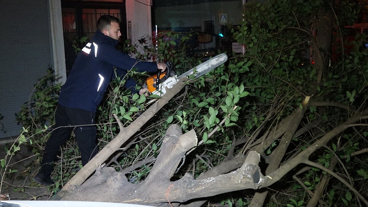Bursa'da, gece saatlerinde etkili olan lodos, hayatı olumsuz yönde etkiledi. Eskişehir Bölge Tahmin ve Uyarı Merkezi'nce yapılan açıklamada saatteki hızı 50 ila 100 kilometre arasında değişen lodos, kent genelinde etkili oldu.