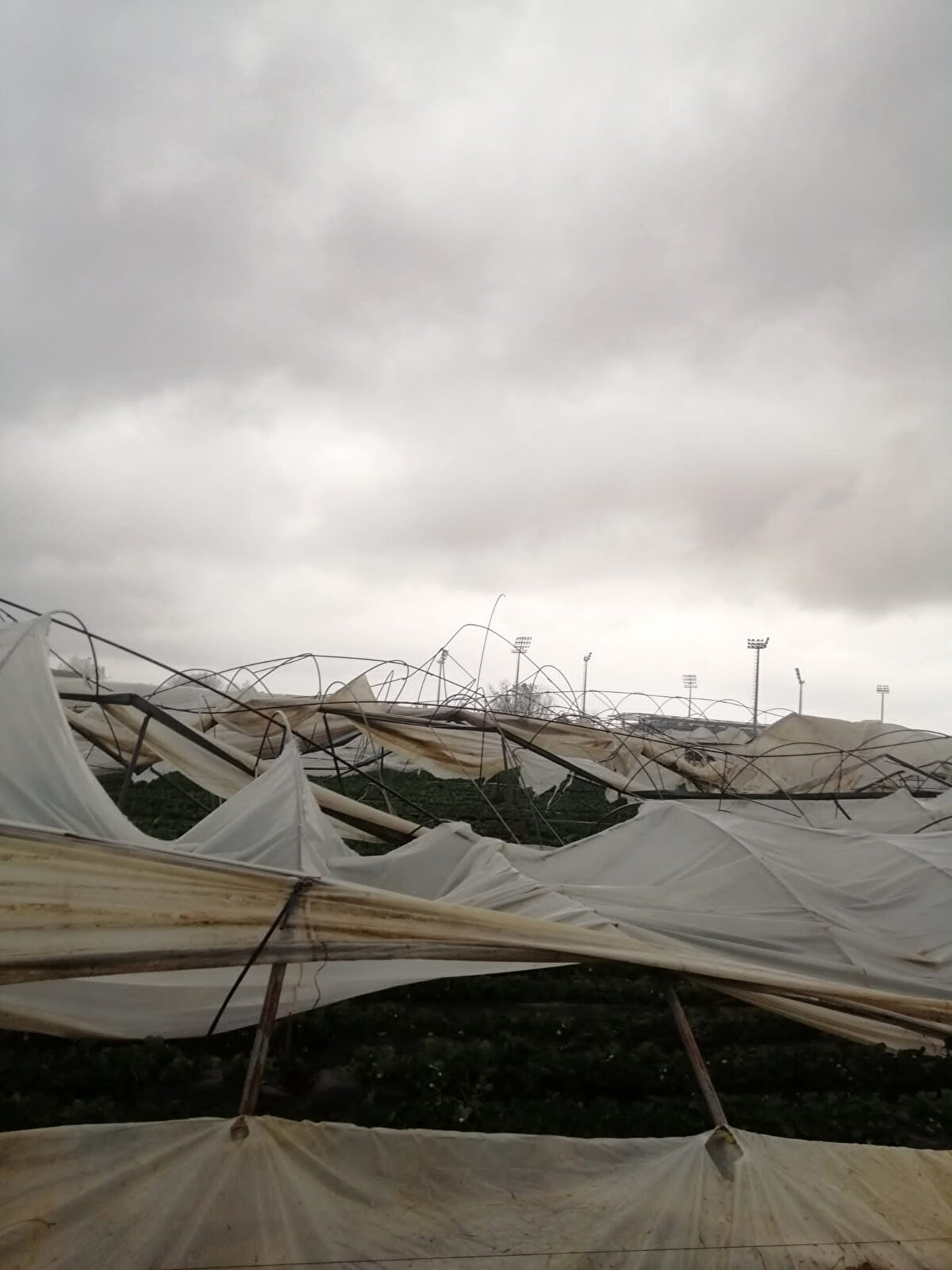 Hızla ilerleyip karaya çıkan hortum başta çilek olmak üzere sebze ve meyve seralarının olduğu bölgeden geçerek bir süre sonra gözden kayboldu. Hortum, bölgedeki yaklaşık 10 dönüm çilek serasına zarar verdi. Seraların plastik örtülerini yırtan ve iskeletlerinin çökerten hortum, çileklerin de ziyan olmasına neden oldu.