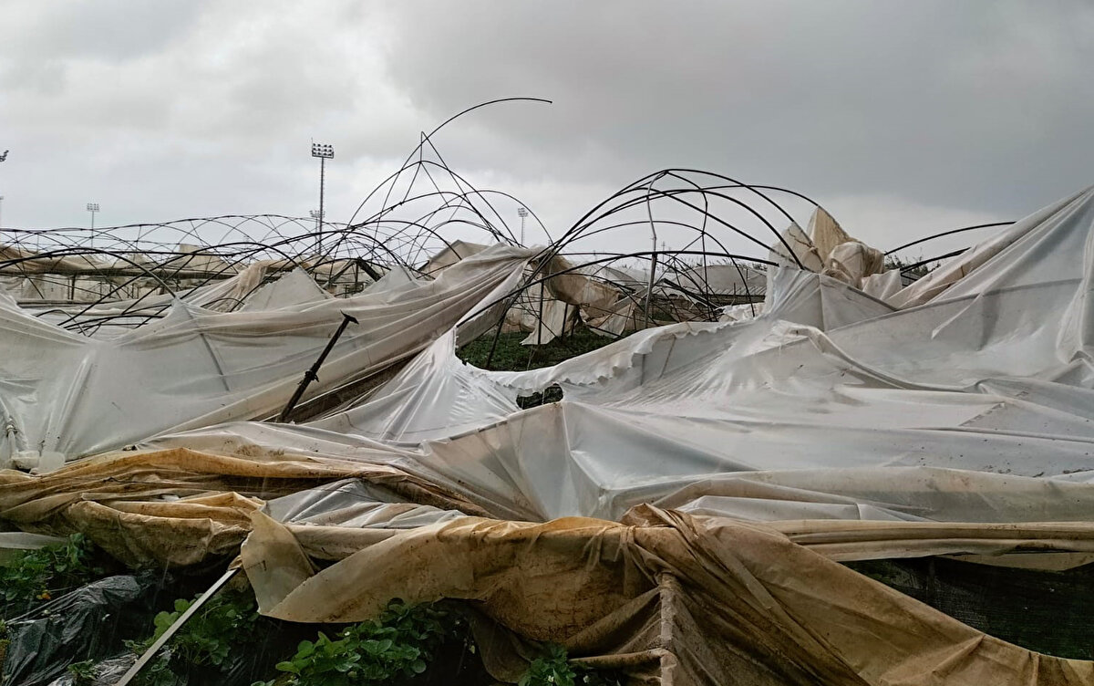 Tarım ve Orman İlçe Müdürü Mustafa Çömezoğlu, hortum sonrası bölgeye giderek incelemelerde bulundu. Çömezoğlu, hasar tespit çalışmalarının devam ettiğini söyledi. Hortum bir vatandaş tarafından cep telefonu kamerasıyla görüntülendi.