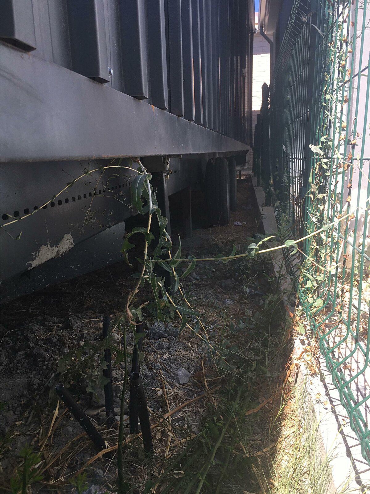 Davanın 2 Aralık'ta görülen duruşmasında sanık avukatı Tamer Atabay, müvekkilinin tapulu arsasına kaçak yapı değil ruhsatlı ve plakalı 'tiny house' yaptırdığını, bu yapının ruhsatlı ve tekerlekli araç olduğunu, 'tiny house'ların 'İmar Kanunu'na tabi olmaması nedeniyle suçun unsurlarının oluşmadığını belirtip, beraat talep etti. Belediye avukatları da sanığın cezalandırılmasını istedi. Hakim, sanığın 'tiny house' ile imar kirliliğine neden olduğu suçlamasına karşın kanunen durumun suç olarak tanımlanmamış olması gerekçesiyle beraatine karar verdi.