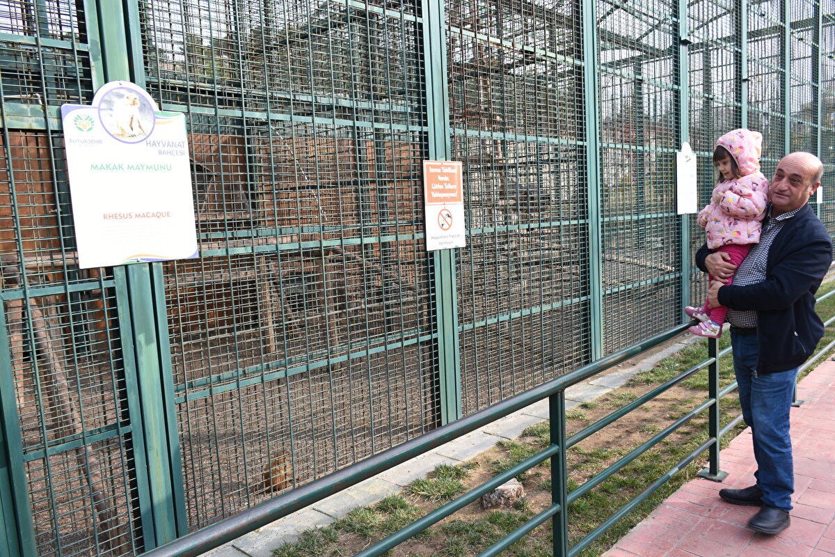 "Nene"nin yalnızlığı makak yavrularıyla sona erdi<br><br>Hayvanat Bahçesi Müdürü Sami Altaş, AA muhabirine, 2018'de faaliyete geçen hayvanat bahçesini şu ana kadar 500 bin kişinin ziyaret ettiğini belirtti.