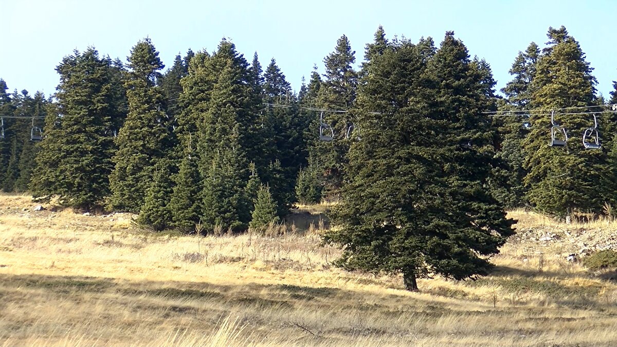 Beklenen kar yağışı ile birlikte yılbaşı öncesi Uludağ’da sezonun açılacağının altını çizen Türk, “Geçen sene ocak ve şubat aylarında yağan kar yağışının bu yıl da olacağı uzmanlar tarafından söyleniyor. Uludağ’da da iyi bir kayak sezonu geçecek. Geçen yıl 17 Aralık’tan sonra kar yağdı Uludağ’a. Bu yıl da 20 Aralık’tan sonra kar yağması öngörülüyor. Zaten yılbaşına doğru tesislerimin açılışı gerçekleşecek, biz endişelenmiyoruz. Uludağ’da yılbaşında kar olacak. Uludağ hiçbir zaman bizi yanıltmadı, Uludağ’ın diğer ismi de biliyorsunuz ki ‘Beyaz Cennet’. Uludağ’da yine karlı ve bembeyaz günler göreceğiz” ifadelerini kullandı.<br><br>
