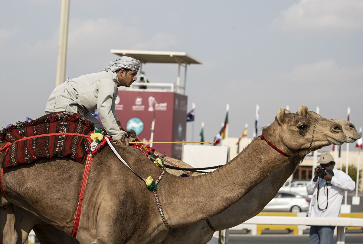 Arap Deve Yarışları Federasyonu Genel Sekreteri ve etkinliğin genel sorumlusu Hizam el-Mekarih de ilk kez birbiriyle harmanlanmış akademik, spor ve miras çalışmaları gibi birden fazla etkinliğin birleşiminden oluşan bu etkinliğin herkes tarafından beğenilmesini beklediklerini ifade etti.<br>