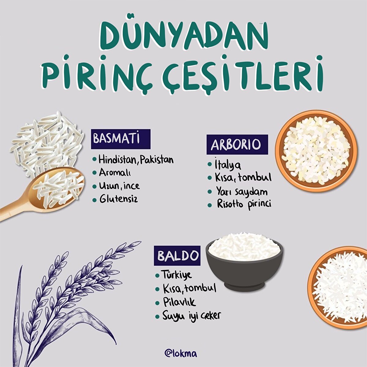 Dünyadan pirinç çeşitleri