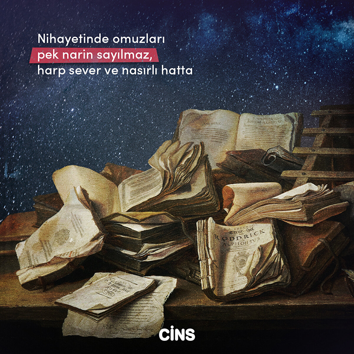 Nihayetinde omuzları pek narin sayılmaz, harp sever ve nasırlı hatta