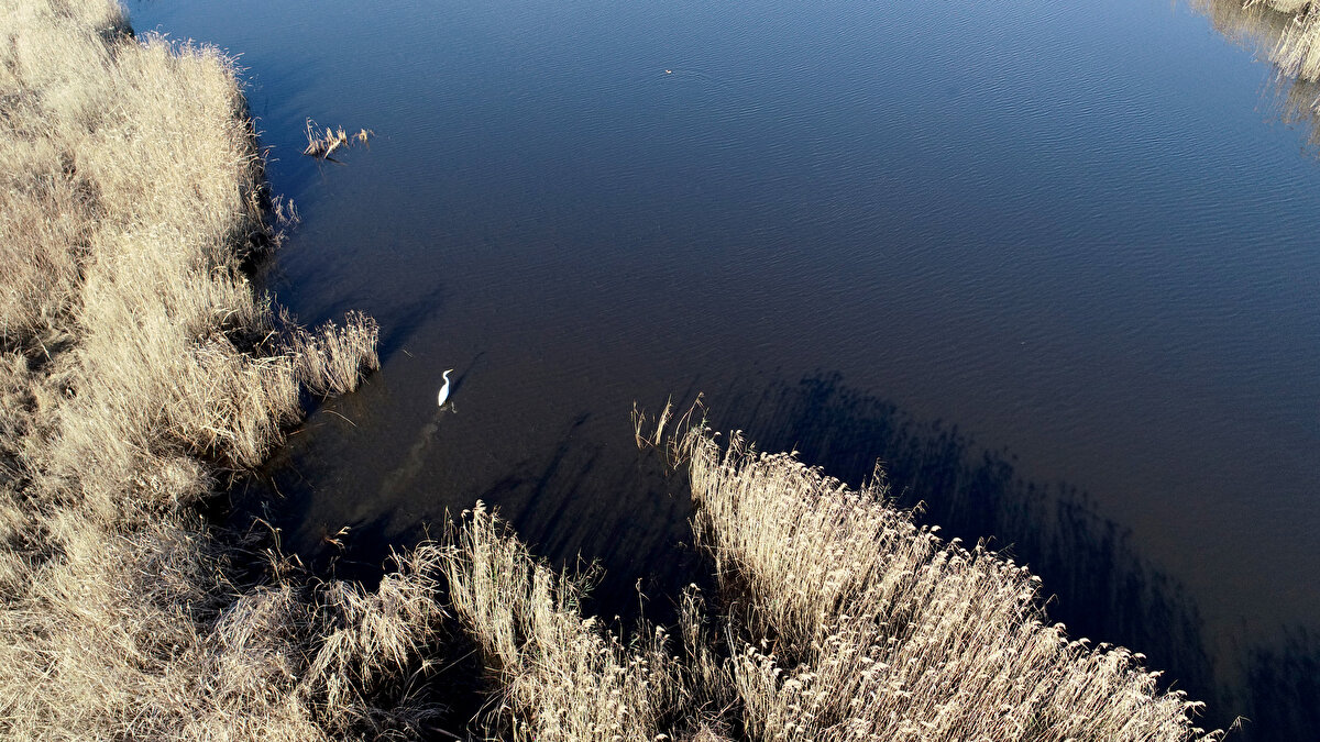 Kırklareli'nde İğneada longoz ormanlarındaki derelerde su seviyesinin artması sonucu Mert Gölü ile deniz birleşti.