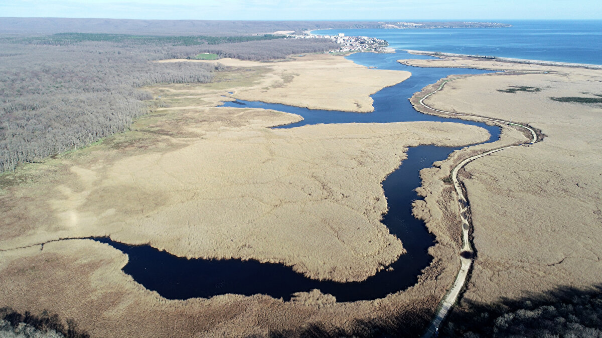 İçerisinde 5 gölün yanı sıra endemik bitkiler, deniz ve tatlı su balıkları, kuş ve sürüngenler barındıran longoz ormanları doğal güzelliğiyle farklı bir atmosfer sunuyor.<br><br>