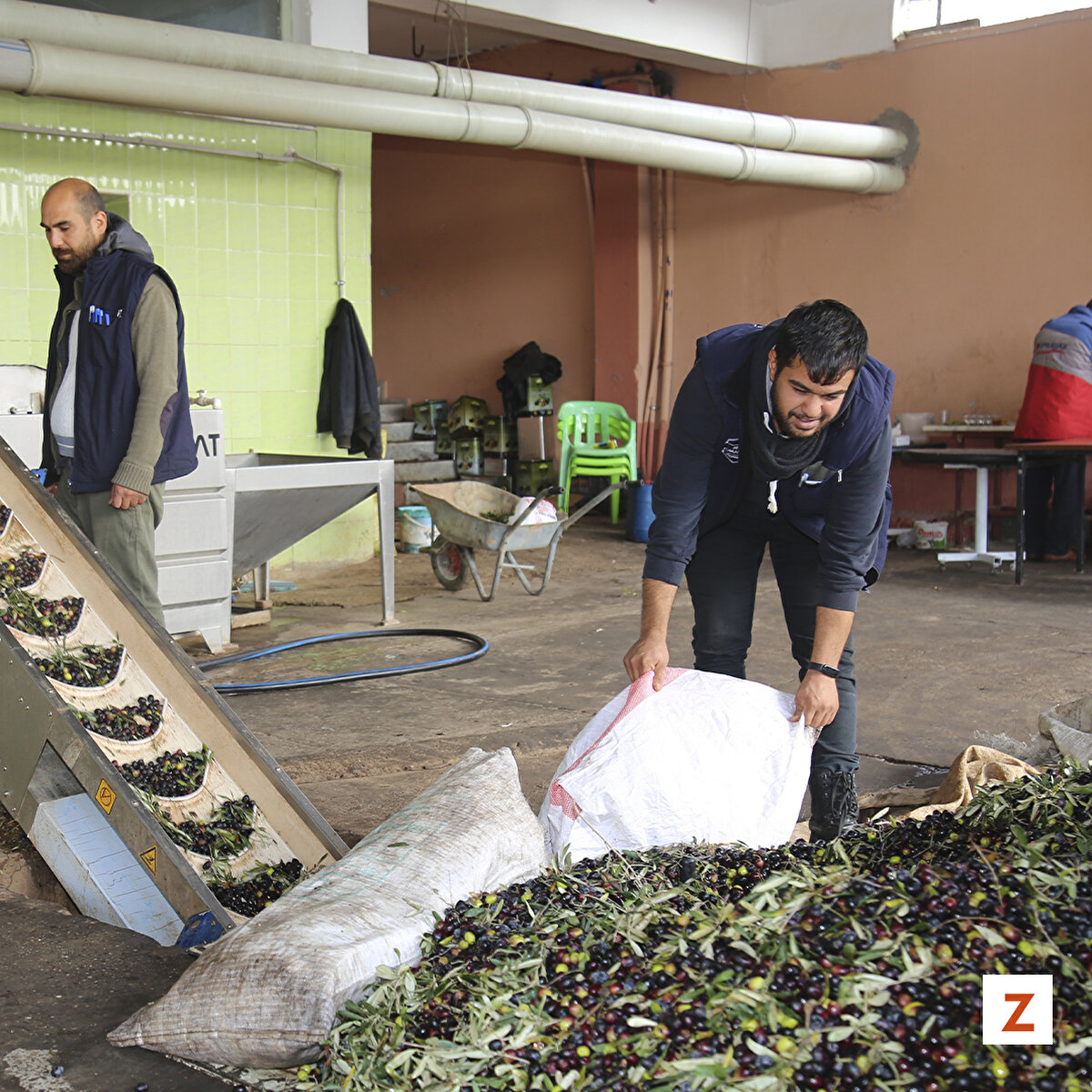 Bölgede nem olmadığından zeytinyağının aromasının çok iyi olduğunu dile getiren Karabacak, "Böylelikle zeytin bahçelerinden gelen kaliteli yağlık zeytinleri bizler de burada özenle işleyerek altın sarısı renkte yağa dönüştürüyoruz. Burada tenekelere doldurulan yağları sahiplerine teslim ediyoruz." dedi.<br><br>