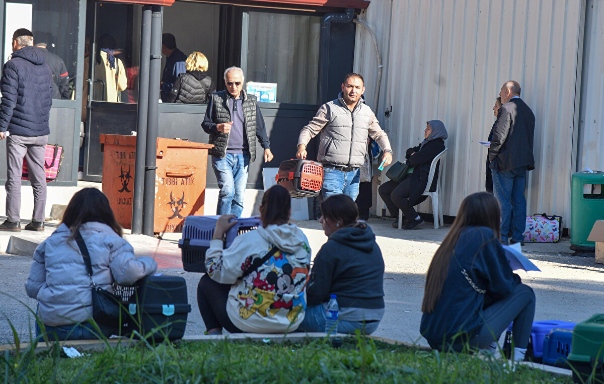 'Kedi, Köpek ve Gelinciklerin Kimliklendirilmesi ve Kayıt Altına Alınmasına Dair Yönetmelik' kapsamında evcil hayvanlara çip takma zorunluluğu süresi, 31 Aralık 2022'de bitecek.