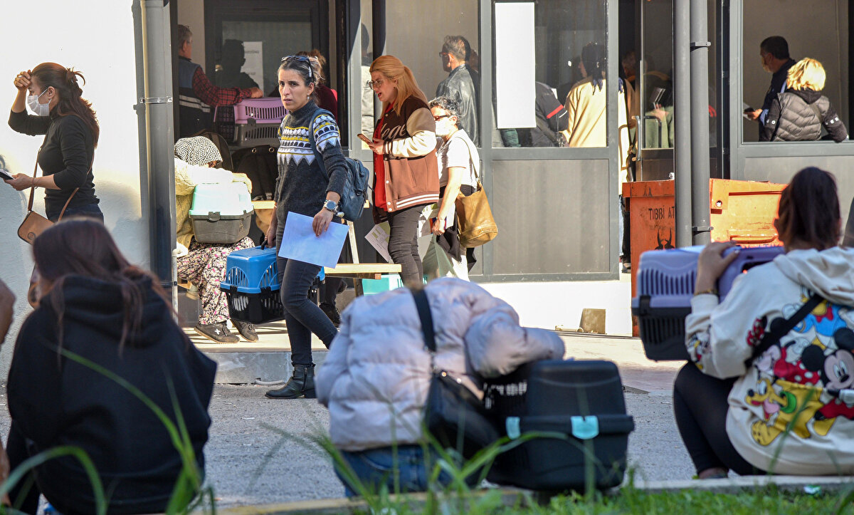 İl Tarım ve Orman Müdürlüğü'nde 'Kaju' adını verdiği kedisine çip taktırmak için bekleyen Can Yüksel, uygulamanın hayvan sahipleri için çok faydalı olduğunu dile getirdi. Uygulamayla hayvanların sokağa bırakılmasının da engelleneceğini aktaran Yüksel, uzun süre sıra beklediğini anlattı.