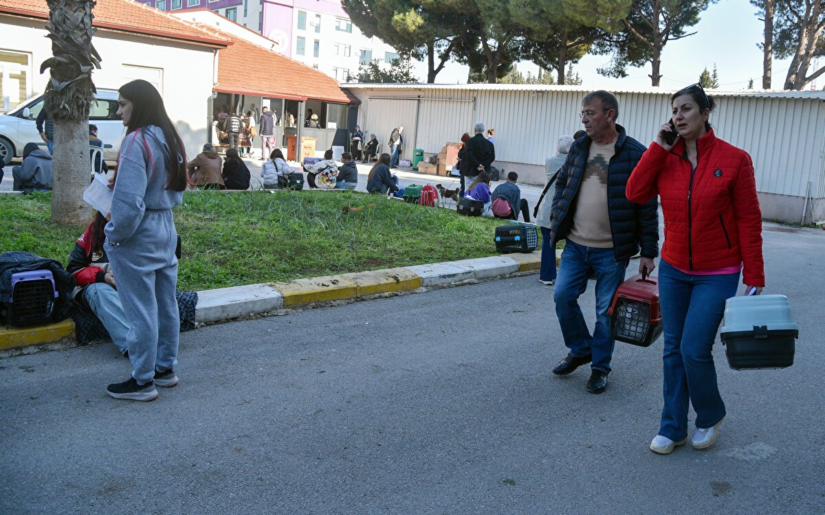 Kedi, köpek ve gelincik sahipleri, il, ilçe tarım müdürlüklerine ya da yetki verilen kurum, kuruluş, gerçek veya tüzel kişilere ilgili beyannameyle başvuru yaparak, hayvanlarını kayıt altına aldırabilecek.