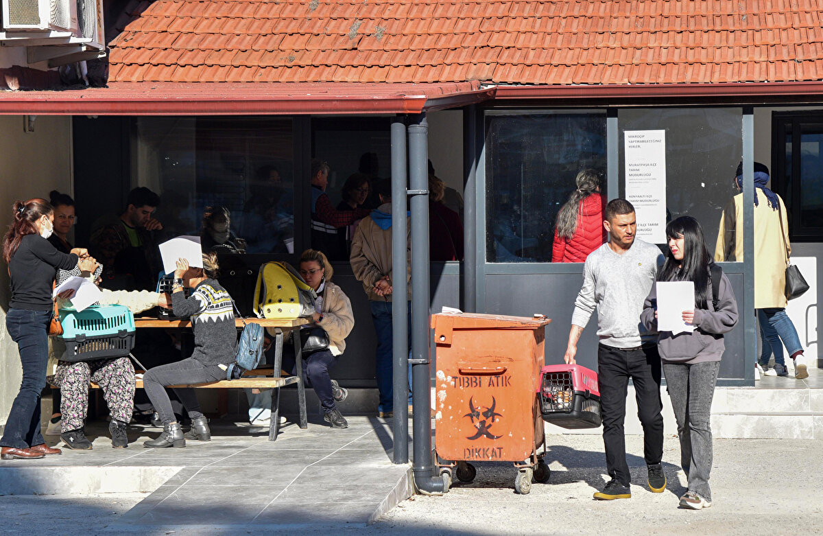 Hayvan sahipleri uygulamanın son günlerinde müdürlüklerimize yoğun olarak geliyor. Süre uzatılmayacak. Yılbaşına kadar başvuru yapılması halinde çip takımı sonrasında da devam edilecek. 31 Aralık'a kadar hayvan sahipleri mutlaka başvuru yapmalı" dedi.