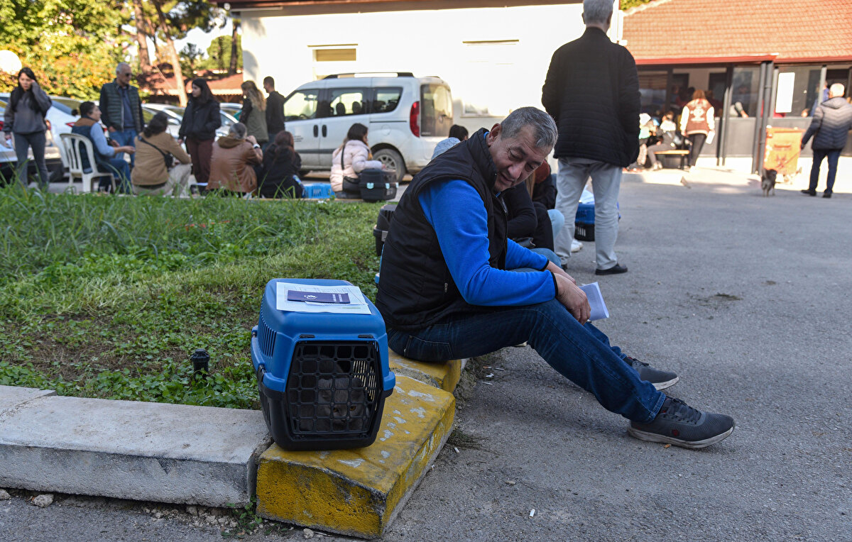 Uygulama kapsamında Antalya'da 3 gelincik, 32 bin 108 köpek, 33 bin 892 kediye çip takılıp, kayıt altına alındı.