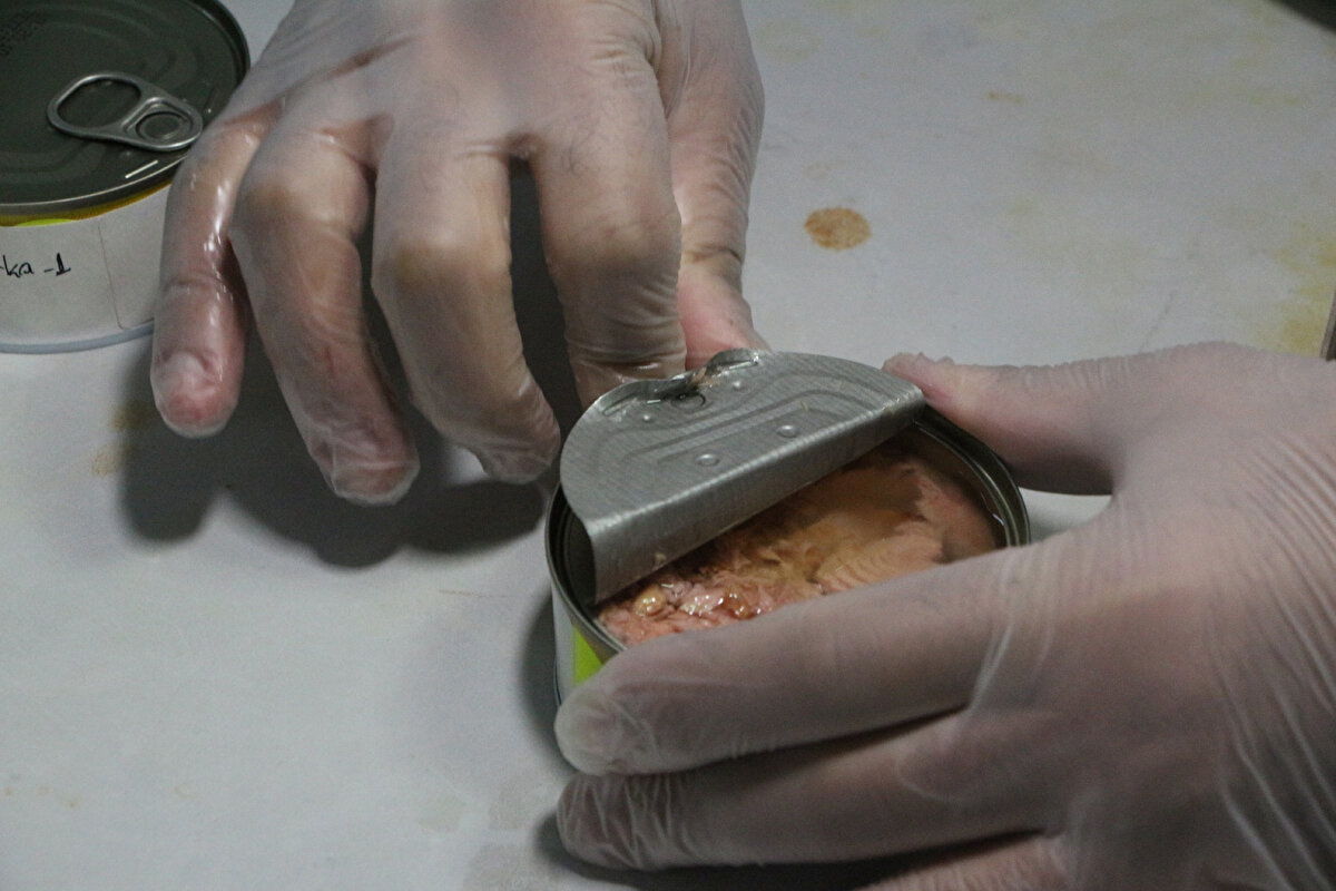 AMBALAJDA PLASTİKTEN UZAKLAŞILMALI<br>Ton balıklarının içerisinde tespit edilen plastik kirliliğinin çoğunlukla paketlemeden kaynaklandığına dikkat çeken Doç. Dr. Gündoğdu, şöyle devam etti:<br>"Ambalaj malzemelerini ayrıca analiz ettiğimizde ton balığının içerisinden çıkan mikroplastiklerin yapısının, özellikle metal ambalajların iç yüzeyinin kaplanmasında kullanılan malzeme ile aynı yapıda olduğunu gördük. Ambalajda plastikten uzaklaşmak, çevre ve insan sağlığına zararı olmayan malzemeler kullanılmak gerektiğini bir kere daha ortaya koyan bir çalışma oldu. Plastiğin üretimi esnasında kullanılan kimyasallar bu ambalajlardan kaynaklı olarak gıdaya temas edebiliyor. Benzer şekilde denizden avlanıp üretilen işlenmiş deniz ürünlerinde denizden kaynaklanan mikroplastik kirliliği de olduğunu söyleyebiliriz. Buradaki temel problem, plastiğin yoğun olarak üretiliyor ve kullanılıyor olmasıyla ilişkilidir."