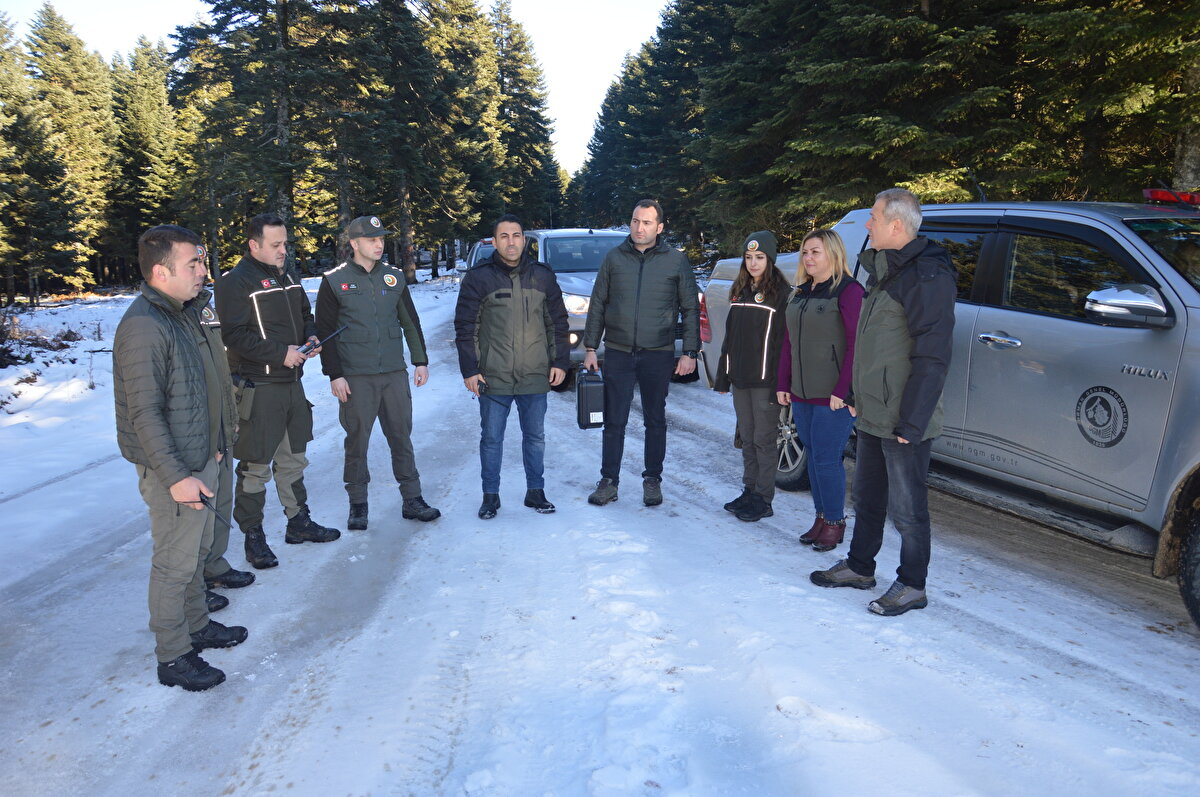 <br><br>Taraklı Orman İşletme Şefi Hasan Topçu da yılbaşı öncesi ormanlarda çamların usulsüz kesilmemesi için devriye ekiplerinin çalışmalarını artırdığını dile getirdi.<br>