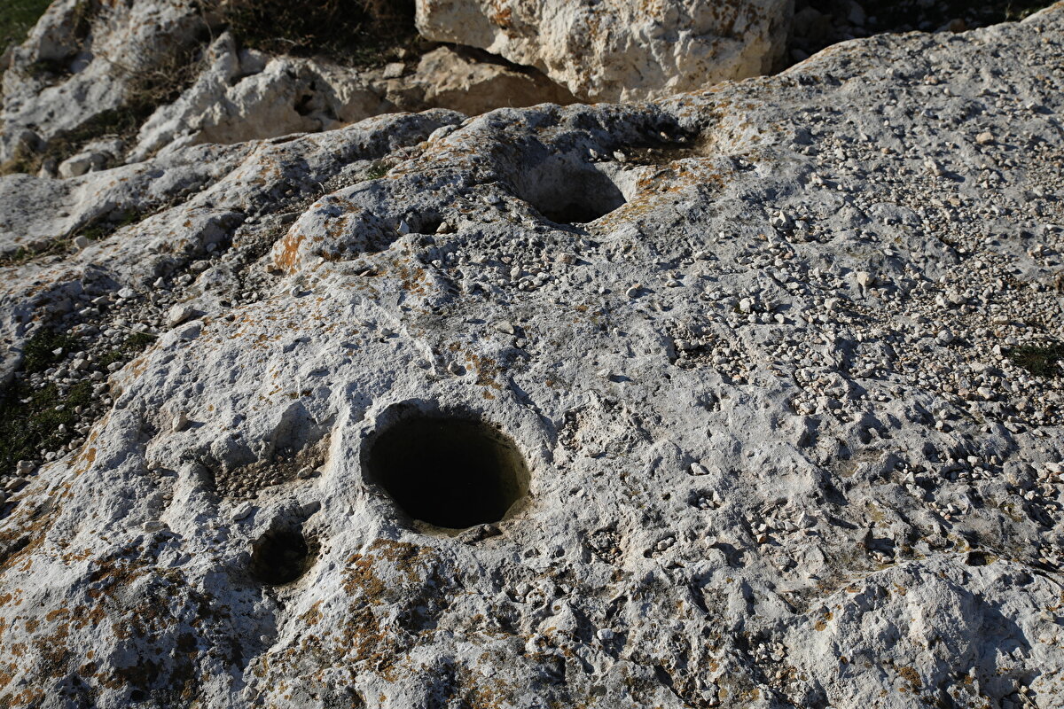 Van Yüzüncü Yıl Üniversitesi Edebiyat Fakültesi Arkeoloji Bölümü Başkanı Prof. Dr. Rafet Çavuşoğlu ile Van Müzesi Müdürü Fatih Arap, suyun çekildiği bölgeye giderek ortaya çıkan yapıları inceledi.