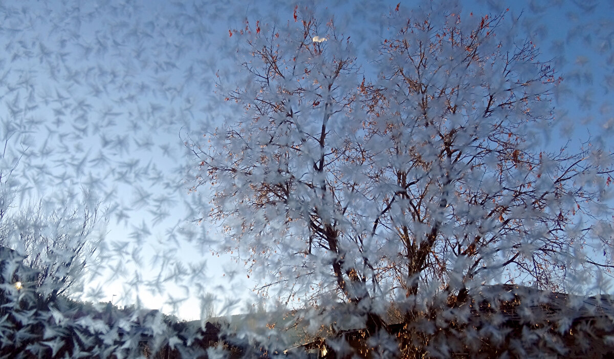 Kars adeta buz keserken termometreleri görenler şaşkınlık yaşadı. Hava sıcaklığının eksi 15'i gördüğü kentte her taraf dondu.
