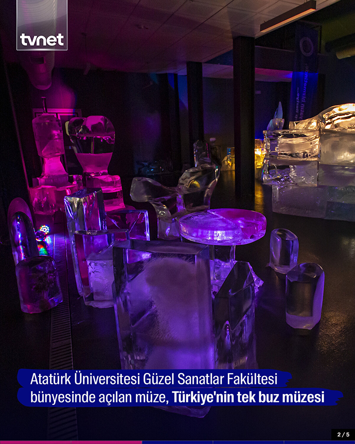 Atatürk Üniversitesi Güzel Sanatlar Fakültesi bünyesinde açılan müze, Türkiye'nin tek buz müzesi olma özelliği taşıyor