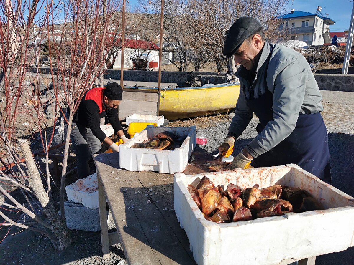 Gölden Eskimo usulü tutulan balıkları temizleyen Turhan Kılıç, gelecek misafirlere gölün önemli balık türlerinden sarı sazan ikram edeceklerini söyledi.