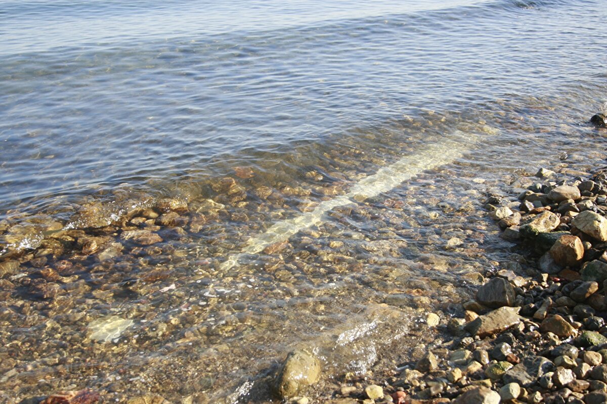 Sahile gelen ekipler, ön incelemede sütunun tarihi özellikler taşıdığını belirledi. Koruma altına alınan sütunun, hangi döneme ait olduğuna ilişkin inceleme başlatıldı.<br><br>