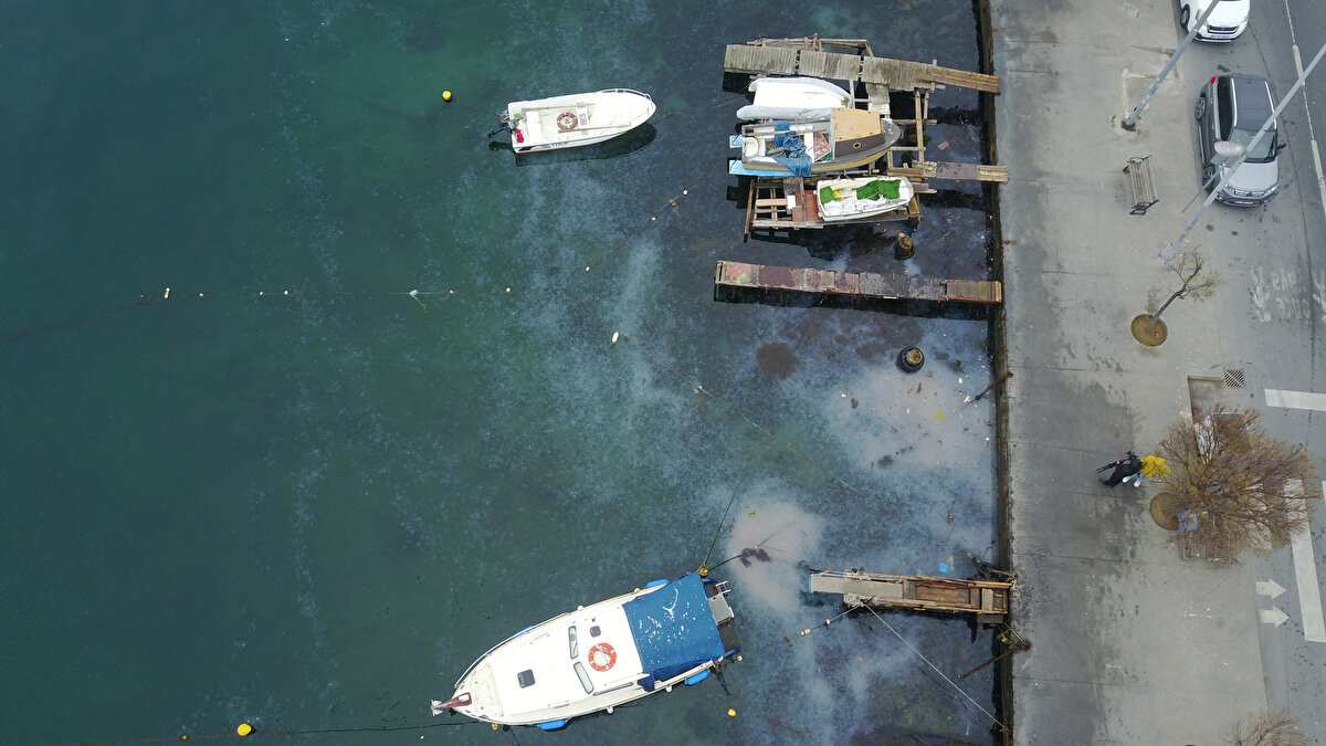 "SEBEBİ ÇEVRE KİRLİLİĞİ" <br>Vezir Mavzer ise "Ben her gün burada yürüyüş yapıyorum. Bunun sebebi çevre kirliği, insanların duyarsızlığı olabilir. Bilim insanı değiliz ama bunu fark edebiliyoruz. Büyükşehir Belediyesinin bunun üzerinde çalışması lazım, kim buradan sorumluysa çalışması lazım" diye konuştu.