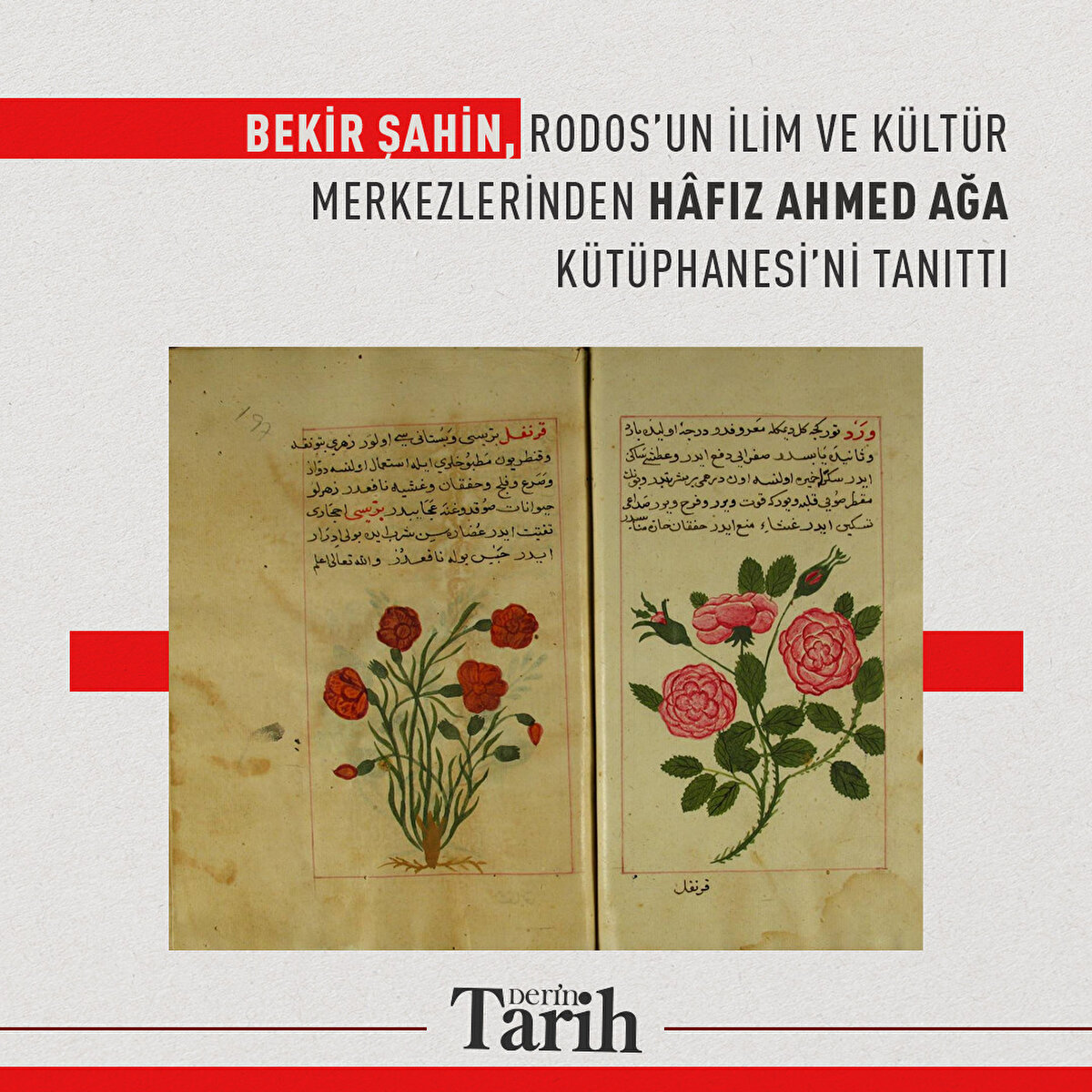 Bekir Şahin, Rodos’un ilim ve kültür merkezlerinden Hâfız Ahmed Ağa Kütüphanesi’ni tanıttı