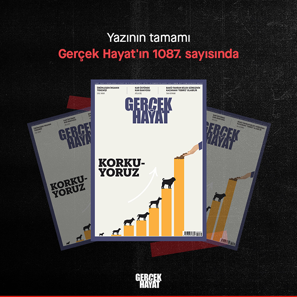Yazının tamamı Gerçek Hayat'ın 1087. sayısında 
