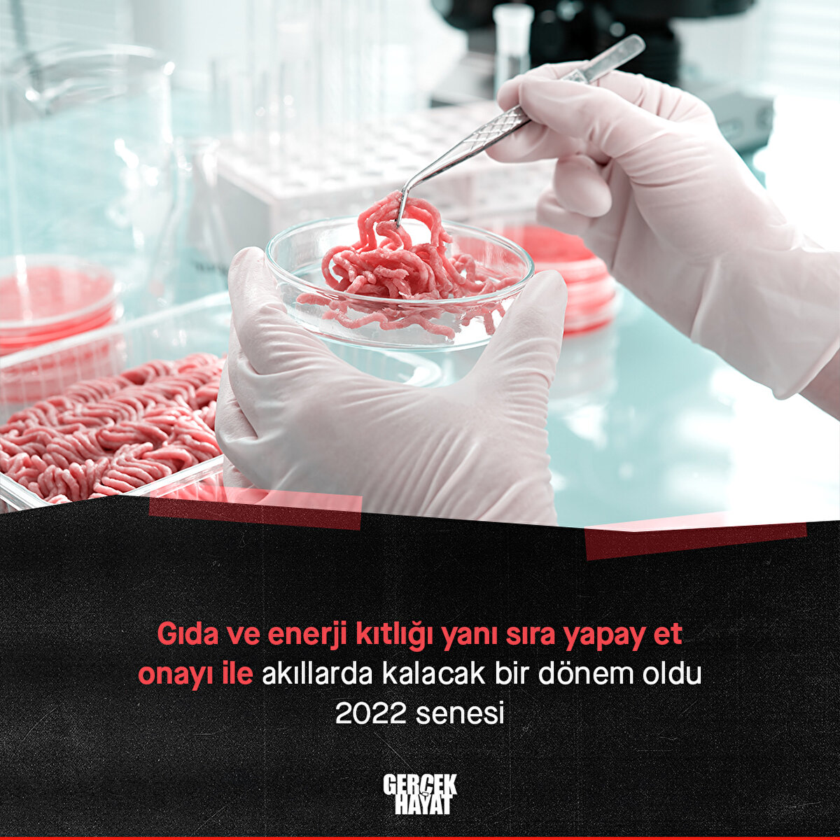 Gıda ve enerji kıtlığı yanı sıra yapay et onayı ile akıllarda kalacak bir dönem oldu 2022 senesi