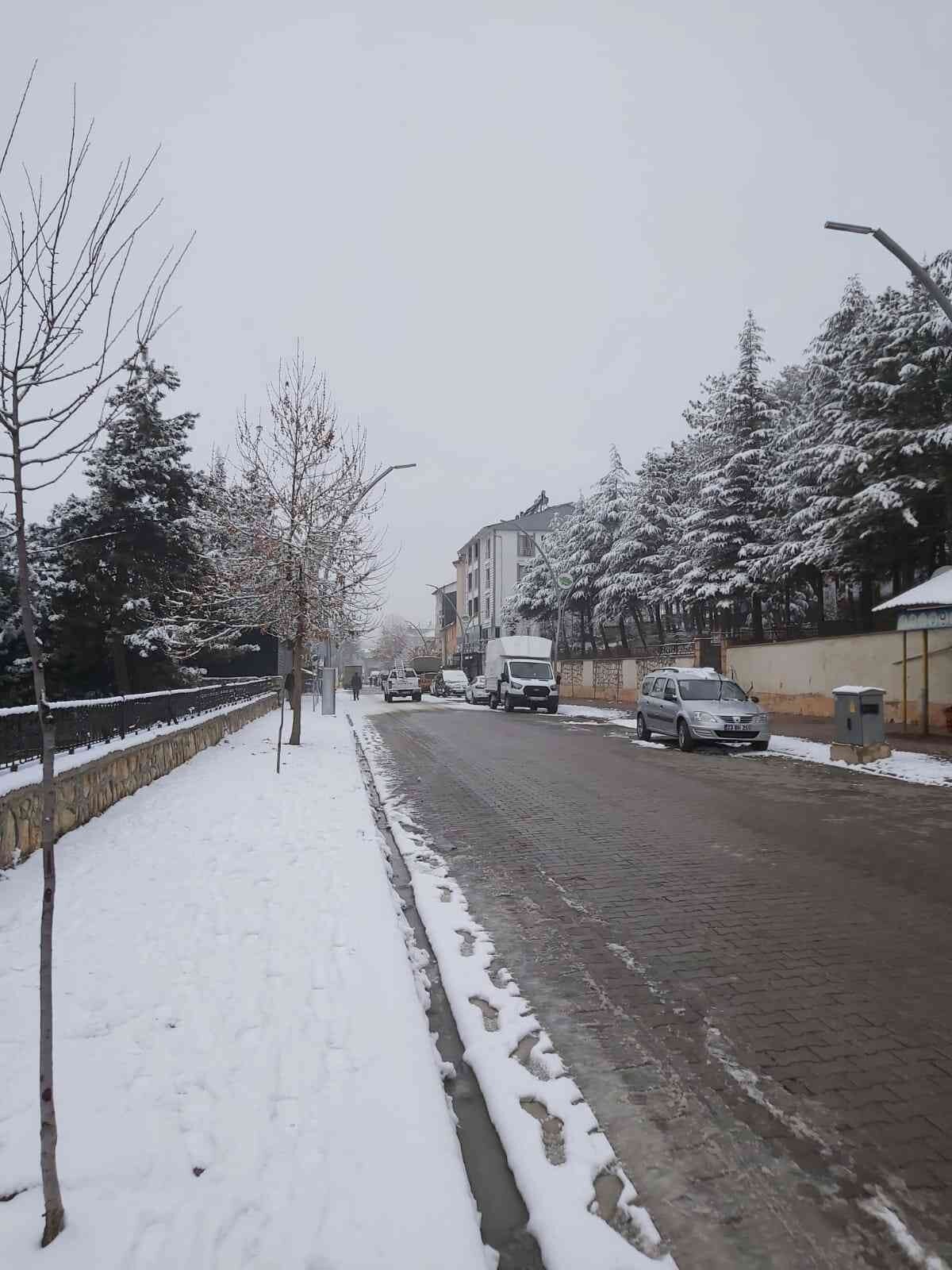 Karantinaya alınan ilçeye 6 ay süreyle hayvan giriş çıkışları yasaklandı, kuduza karşı aşılama çalışması başlatıldı.<br><br>