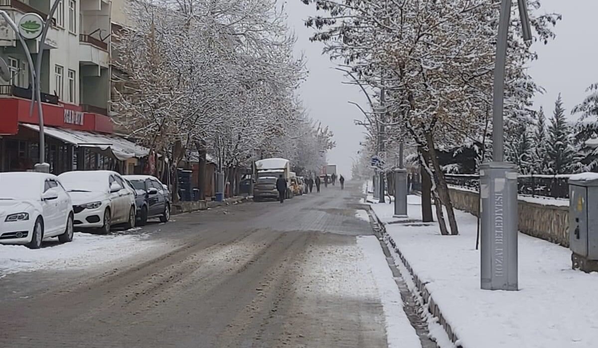 Bunun üzerine İl Tarım ve Orman Müdürlüğü ekiplerince hayvandan alınan numune, Elazığ Veteriner Kontrol Enstitüsü Müdürlüğüne gönderildi.<br><br>
