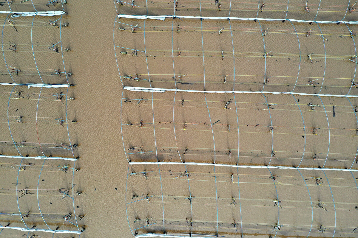 Santa Cruz bölgesinde yaklaşık 32 bin, Santa Barbara bölgesinde ise 10 bin kişi, sel ve toprak kayması tehlikesine karşı tahliye edildi.<br><br>