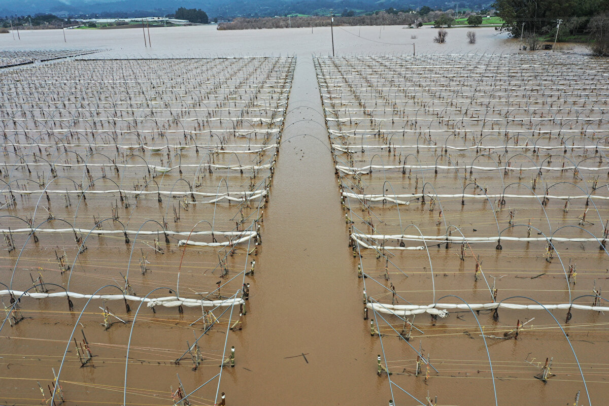 Eyaletin doğu kesiminde ise 2 metreye yakın kar yağdığı, dağların etrafındaki ana yolların bazılarının, çığ düşme tehlikesi nedeniyle trafiğe kapatıldığı kaydedildi.<br><br>