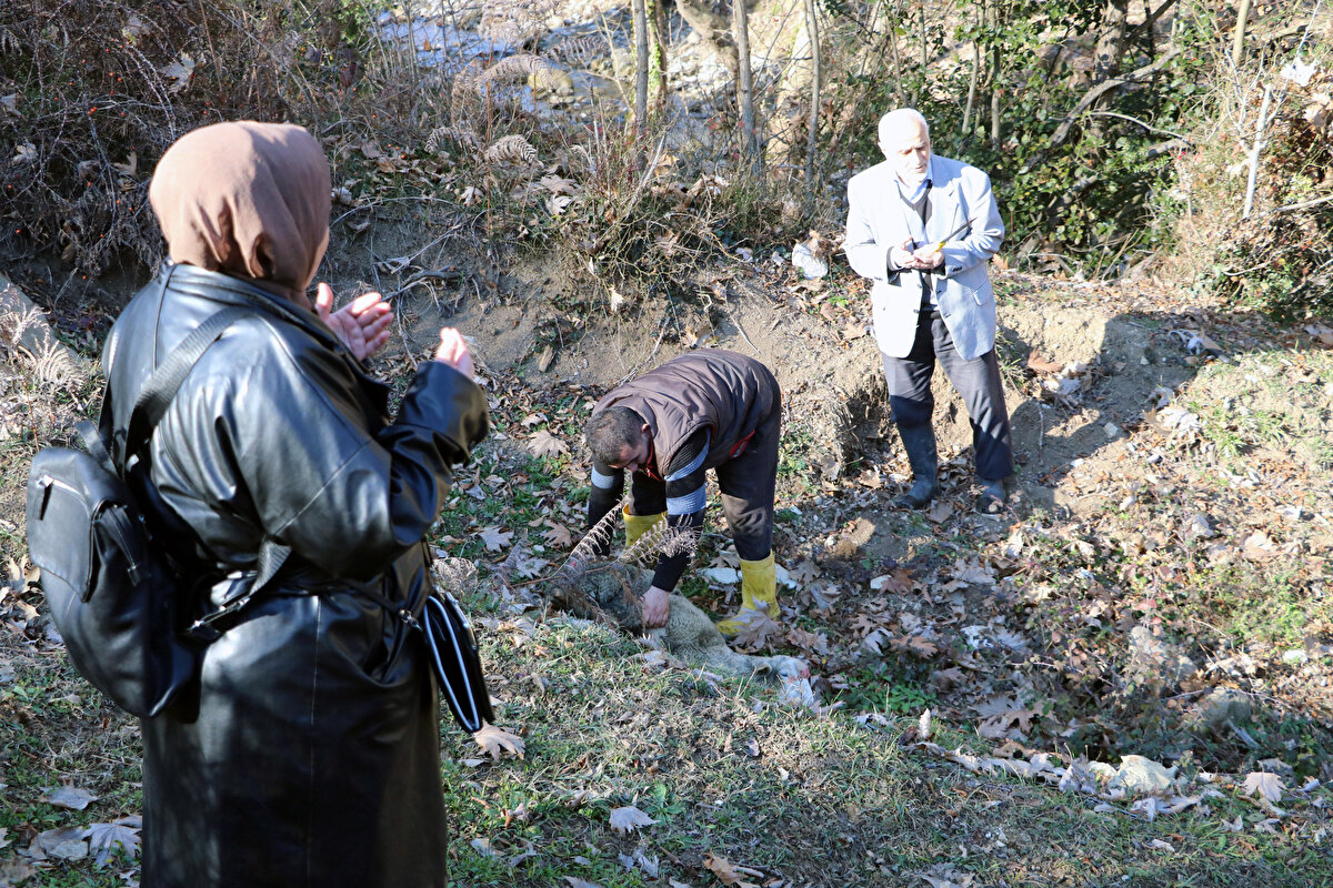 Nazmiye Karaman, “6 yıl önce bir rüya gördüm. Jandarma gördüm, bir asker yani. Hep bu tarafı gösteriyordu, kazılan yeri gösteriyordu. Burada bir şey olduğunu tahmin ettim. Tam ne olduğunu bilemediğim için burada bana odalar gözüktü, lahit mezar olduğunu tahmin ediyorum. 'Acaba var mı' diye toprağı Almanya'da incelettim. Toprakta elmas, değerli mücevher dediler. Olduğuna emin olduğum için devlete vermeyi düşündüm. 4 ay önce işlemleri başlattım. Kazmaya başladık. 14 gün süreyle Kültür ve Turizm Bakanlığı'ndan kazı için izin aldık. Bir şey olduğuna inanıyorum, burası boş değil, yani uğraşacağım biraz" dedi.