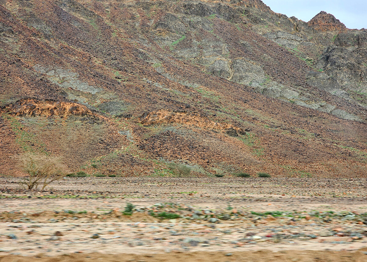 Açıklamada, yaşamını yitirenlerden birinin Medine'de yağmur sularının doldurduğu birikintide, diğerinin ise Asir bölgesinde yer alan Zehban Vadisi'nde bir bataklıkta boğulduğu kaydedildi.