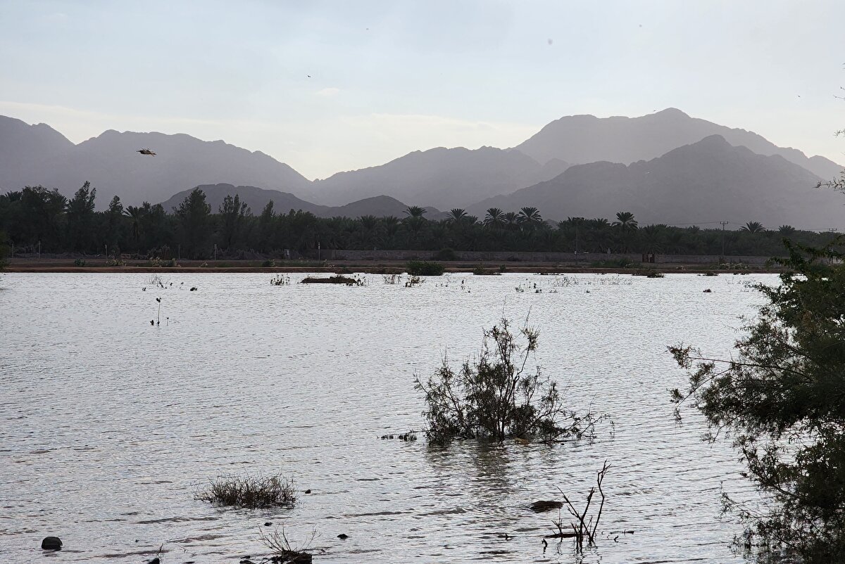 İki kişi öldü<br>Suudi Arabistan Sivil Savunma Birimi'nin yaptığı açıklamada, sağanak nedeniyle 2 kişi hayatını kaybetti.<br><br>