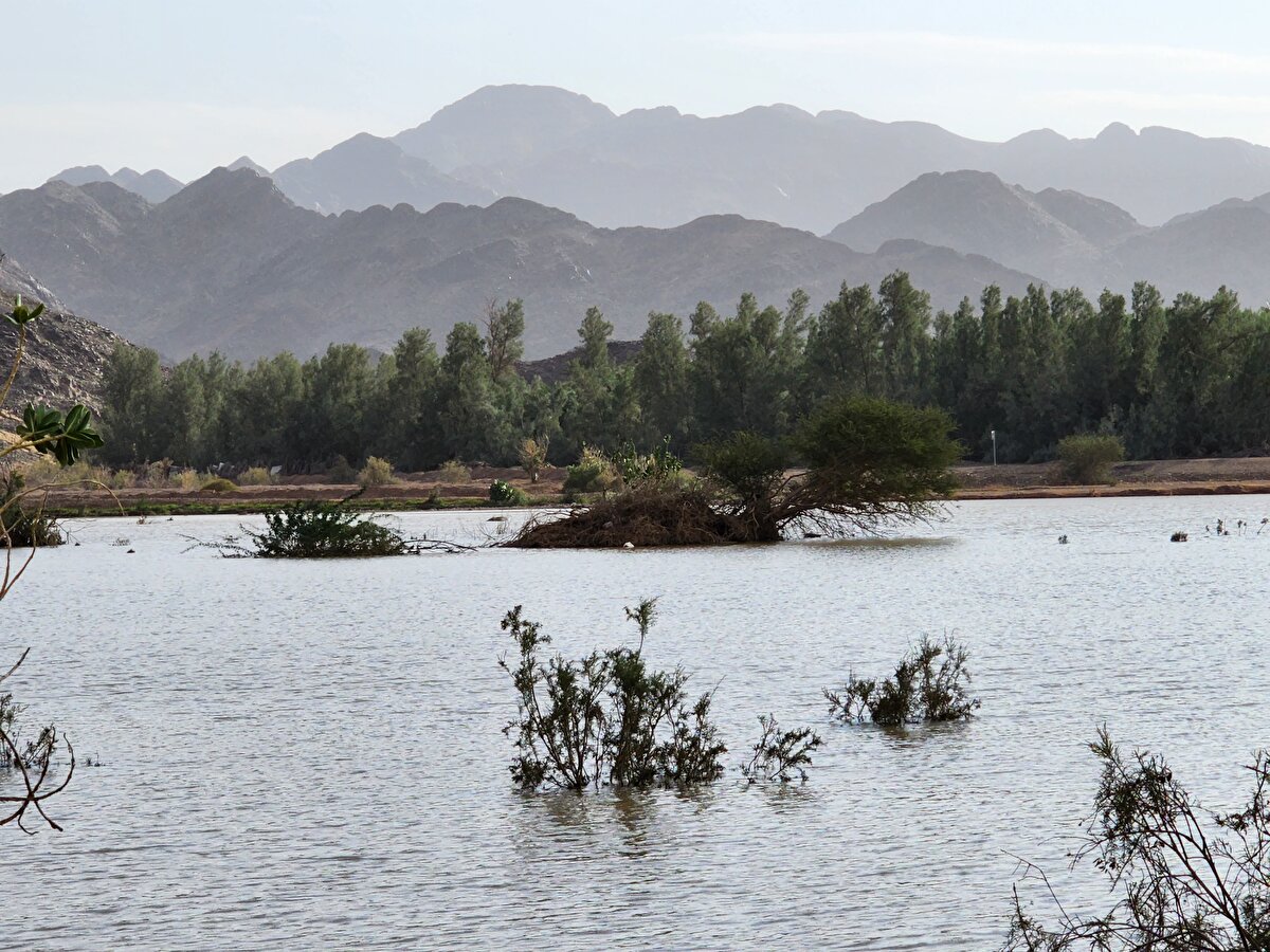 Dağ ve ovalar yeşillendi<br>Mekke Emirliği de sosyal medya hesabından, bölgedeki dağlardan çekilen bir görüntüyü paylaştı.<br><br>