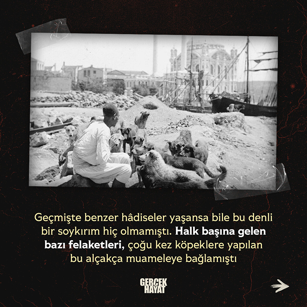 Geçmişte benzer hâdiseler yaşansa bile bu denli bir soykırım hiç olmamıştı