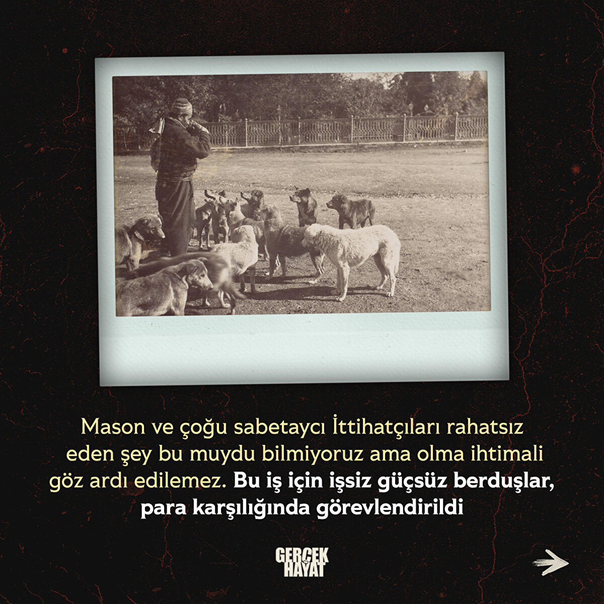 Bu iş için işsiz güçsüz berduşlar, para karşılığında görevlendirildi