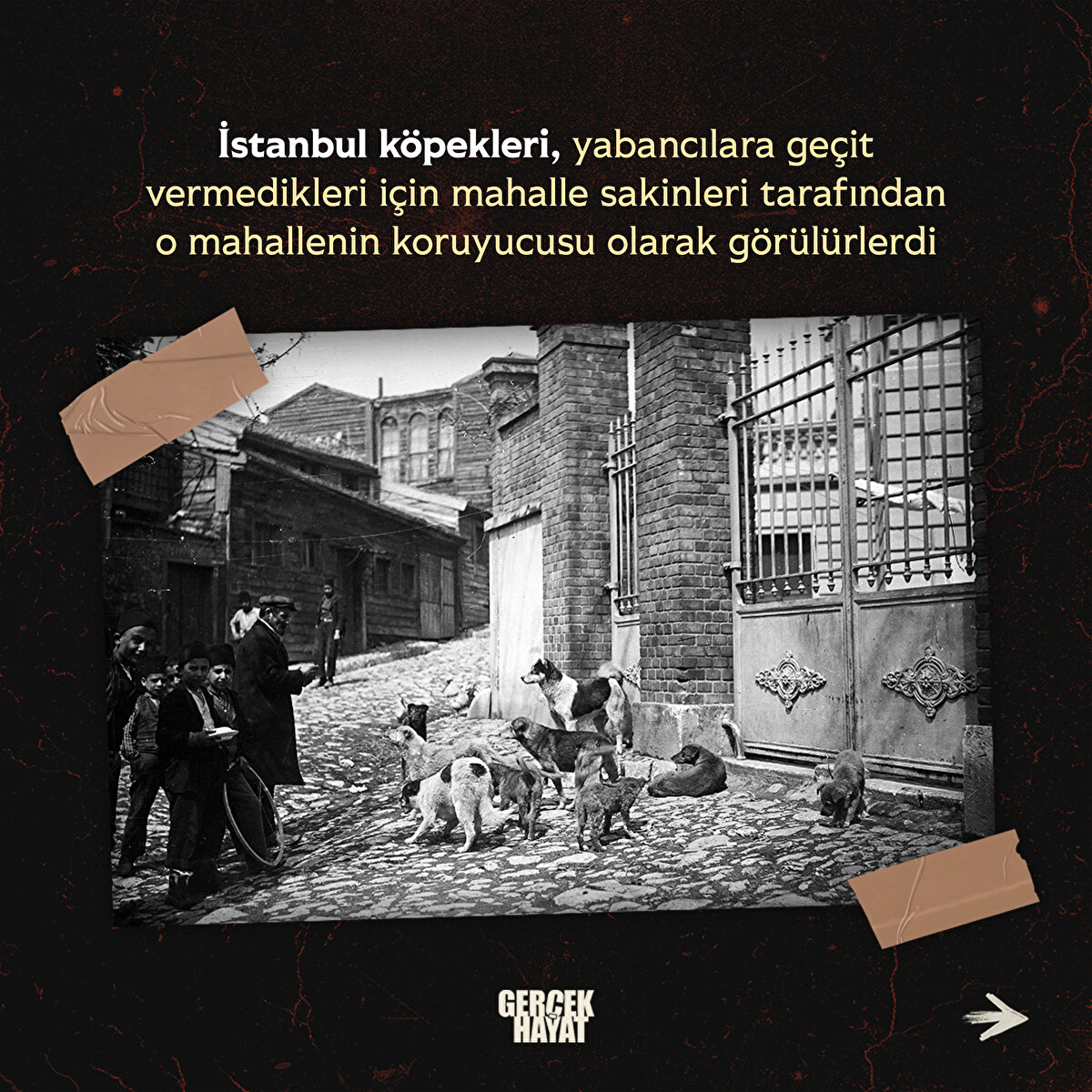 Mahalle sakinleri tarafından o mahallenin koruyucusu olarak görülürlerdi