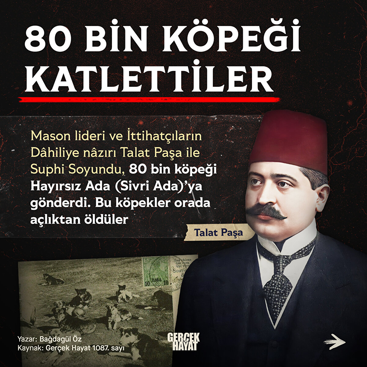 Talat Paşa ile Suphi Soyundu, 80 bin köpeği Hayırsız Ada (Sivri Ada)’ya gönderdi