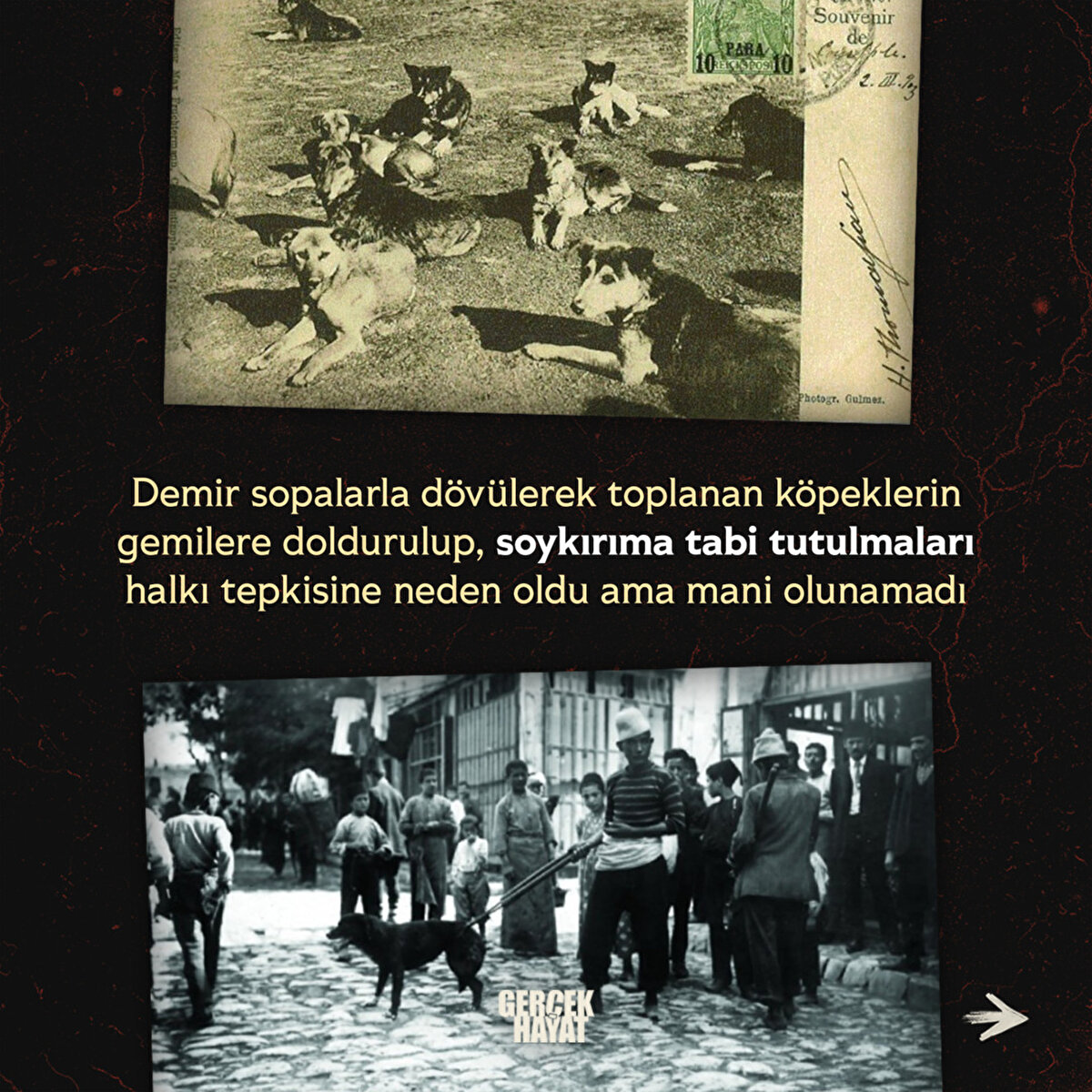 Soykırıma tabi tutulmaları halkı tepkisine neden oldu ama mani olunamadı