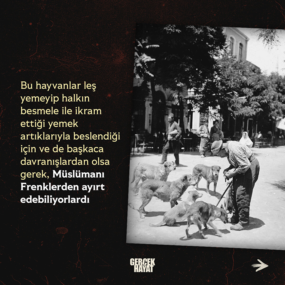 Müslümanı Frenklerden ayırt edebiliyorlardı