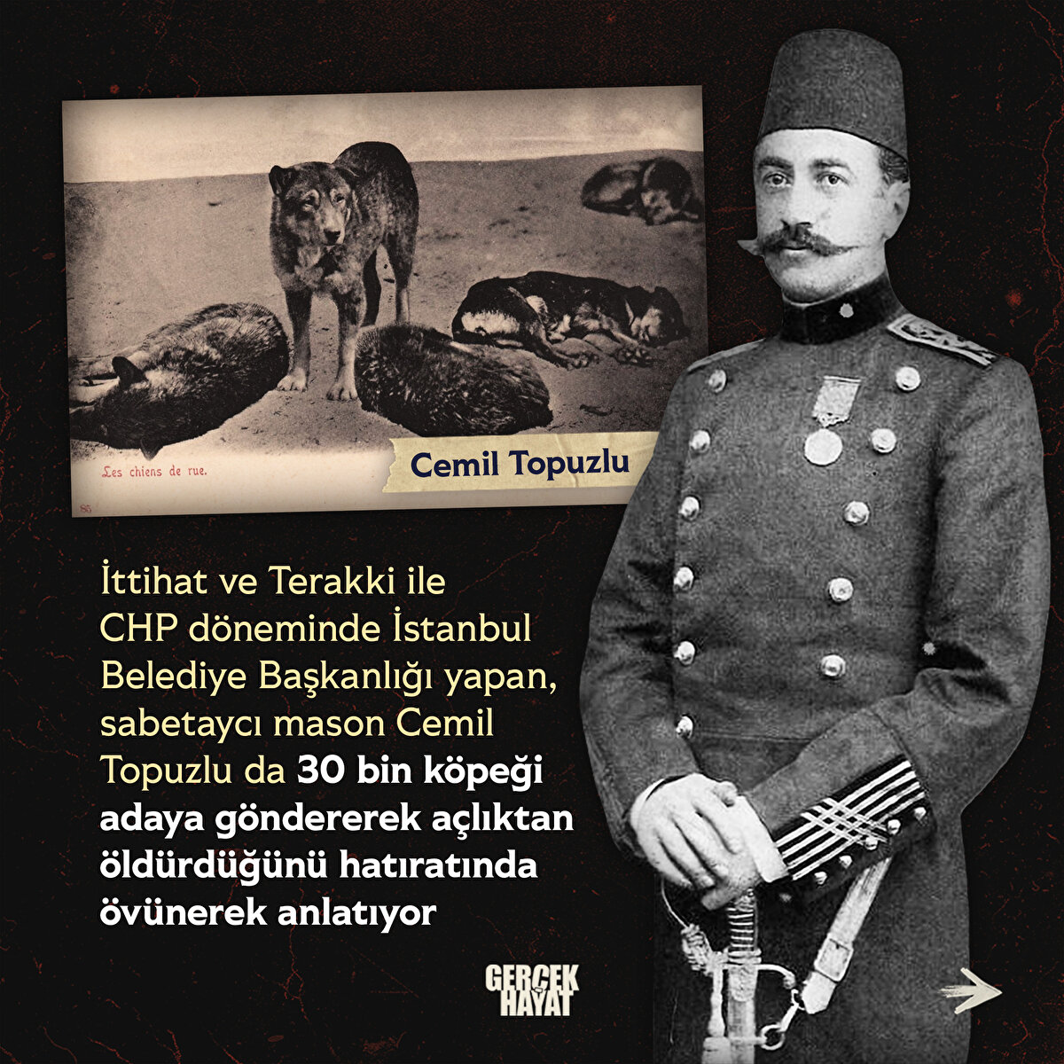 Mason Cemil Topuzlu da 30 bin köpeği adaya göndererek açlıktan öldürdüğünü hatıratında övünerek anlatıyor