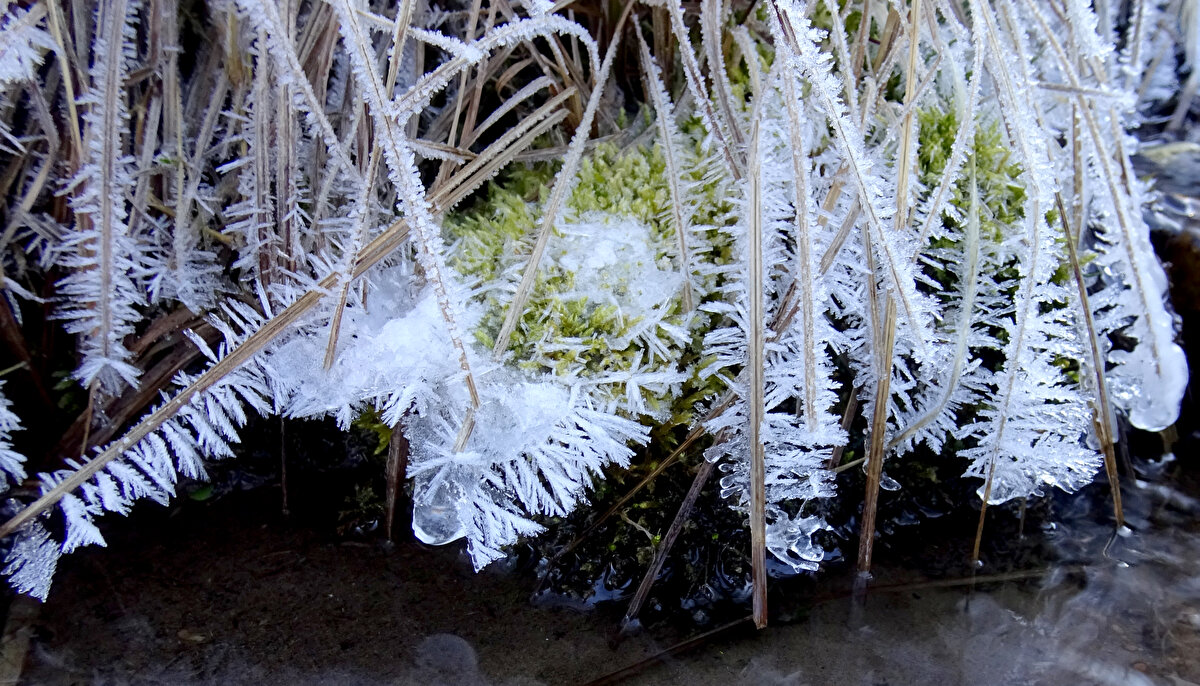Soğuk hava nedeniyle, ev ve iş yerlerinin camları da buz tuttu.<br><br>