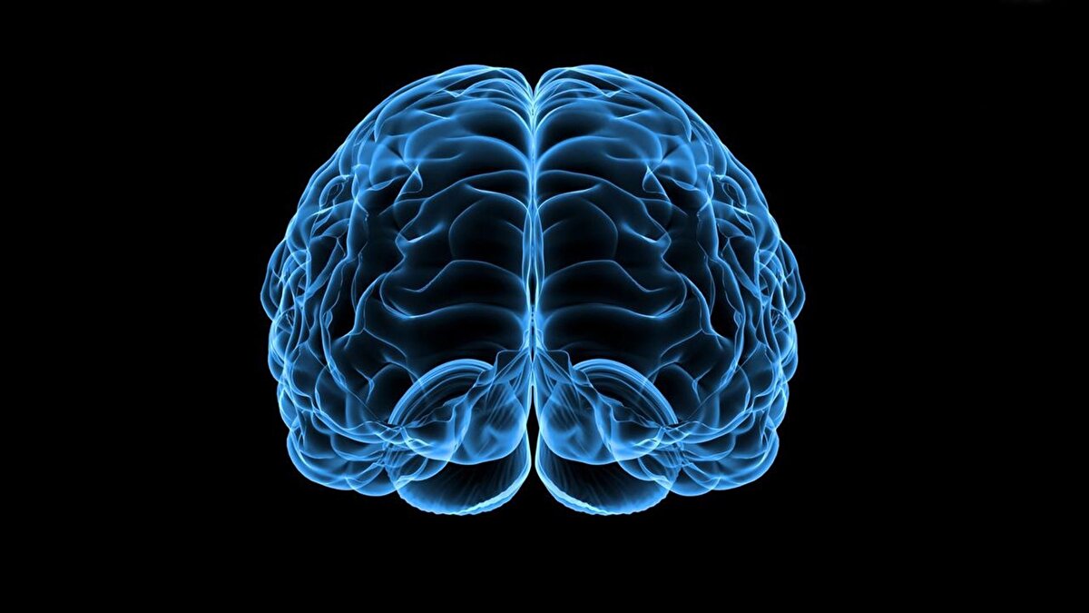 En yüksek IQ'ya sahip 100 ülkenin sıralaması ise şöyle:<br><br>