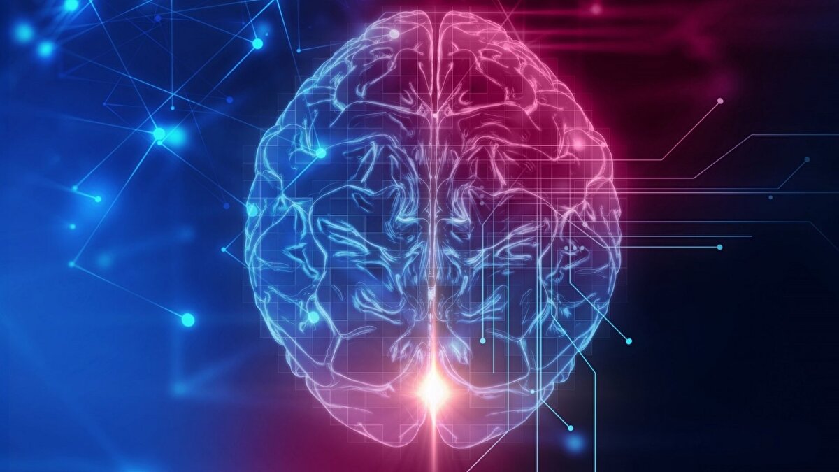 1 Singapur 108<br>2 Hong Kong 108<br>3 Tayvan 106<br>4 Güney Kore 106<br>5 Japonya 105<br>6 Çin 104<br>7 İsviçre 102<br>8 Hollanda 102<br>9 Kuzey Kore 102<br>10 Çin Halk Cumhuriyeti Özel İdari Bölgesi olan Makao 101