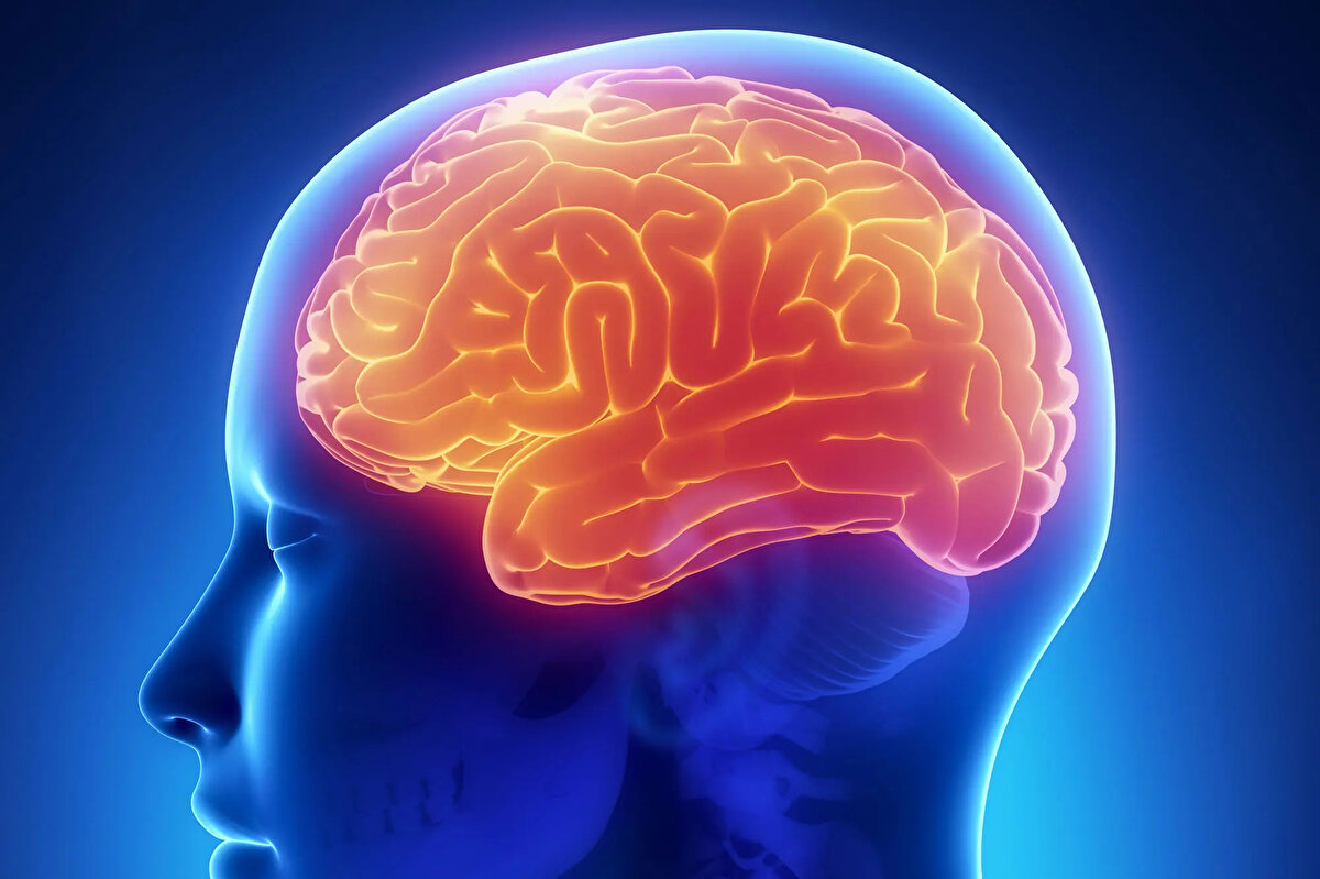 IQ ortalaması en yüksek 10 ülke şöyle oldu:<br><br>